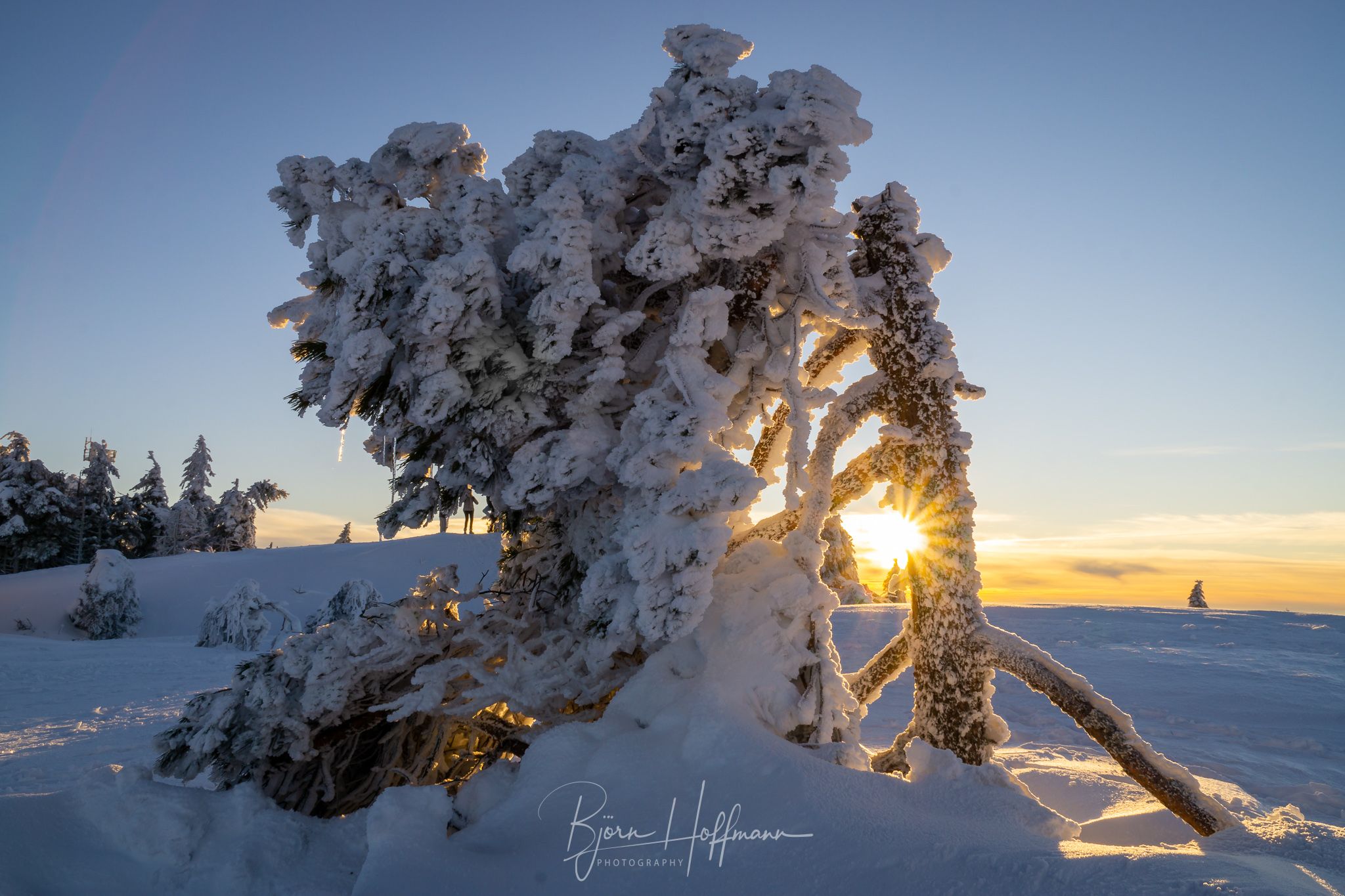 Hornisgrinde Black Forest, Germany