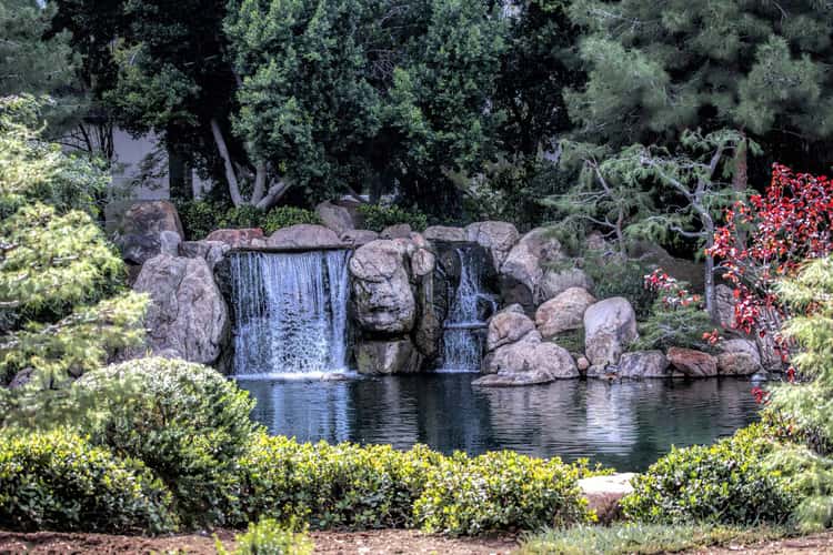 Japanese Friendship Garden