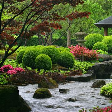 Japanese garden, Germany