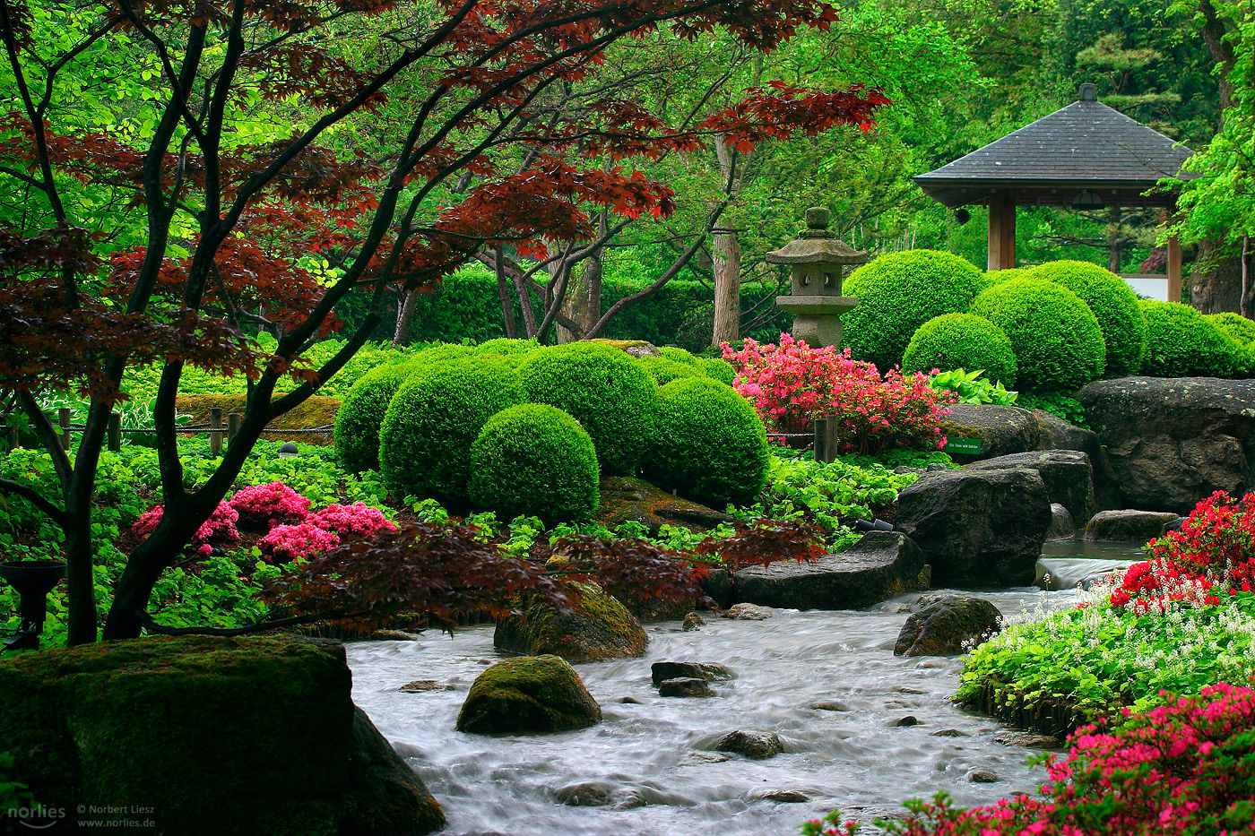 Japanese Garden, Augsburg, Germany