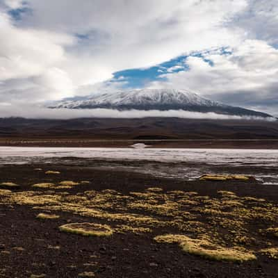 Laguna Colorada, Bolivia