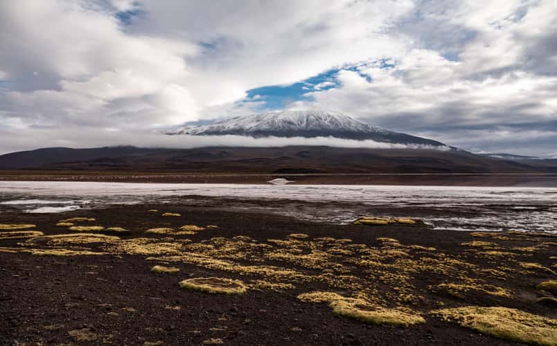 Laguna Colorada