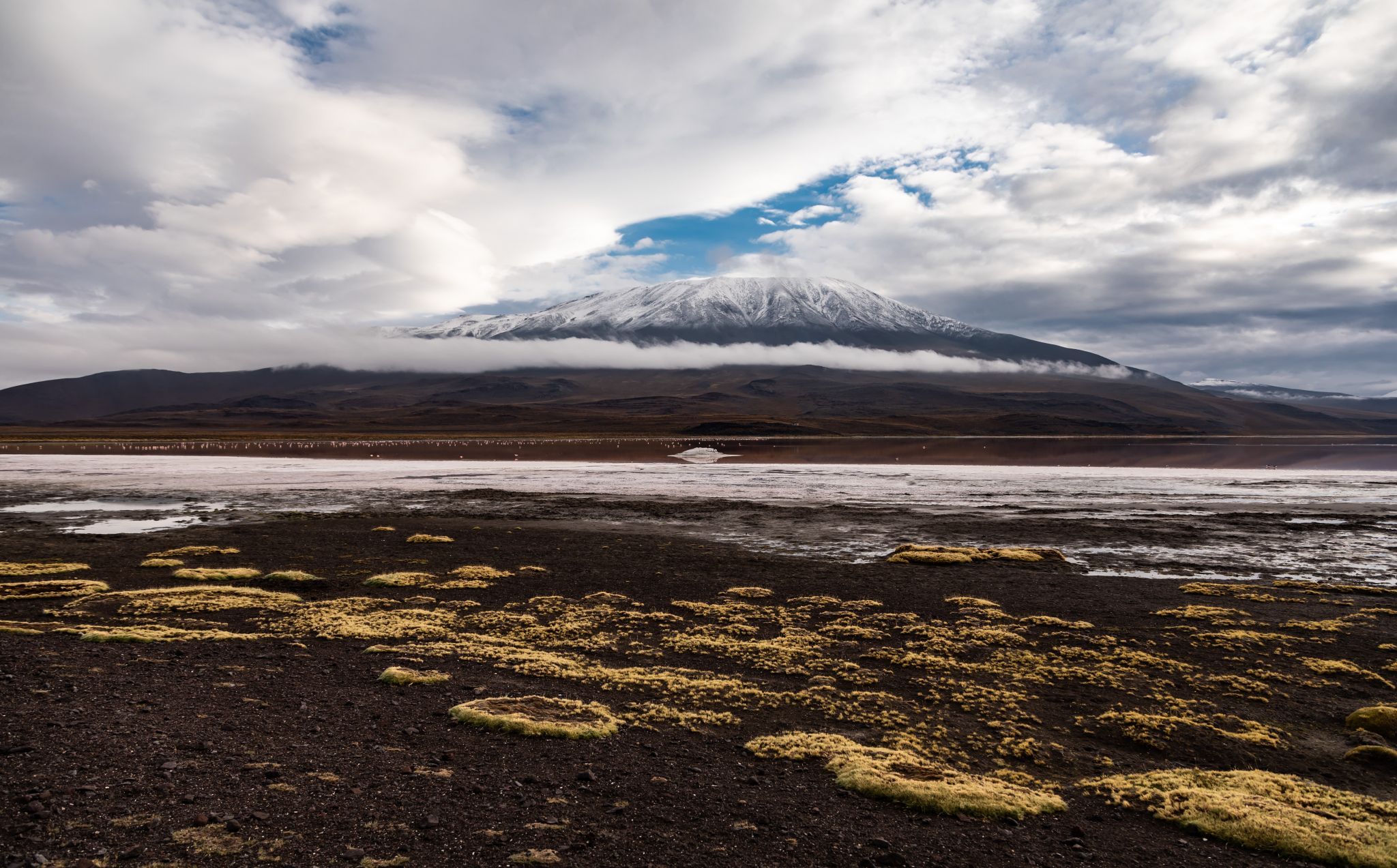 Laguna Colorada, Bolivia