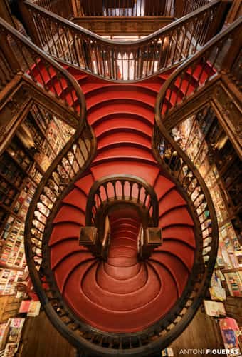 Livraria Lello, Porto