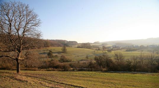 Luxembourg Countryside 1