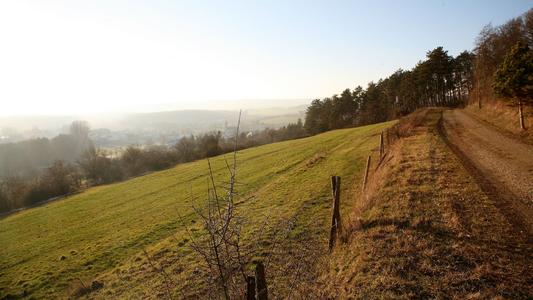 Luxembourg Countryside 1