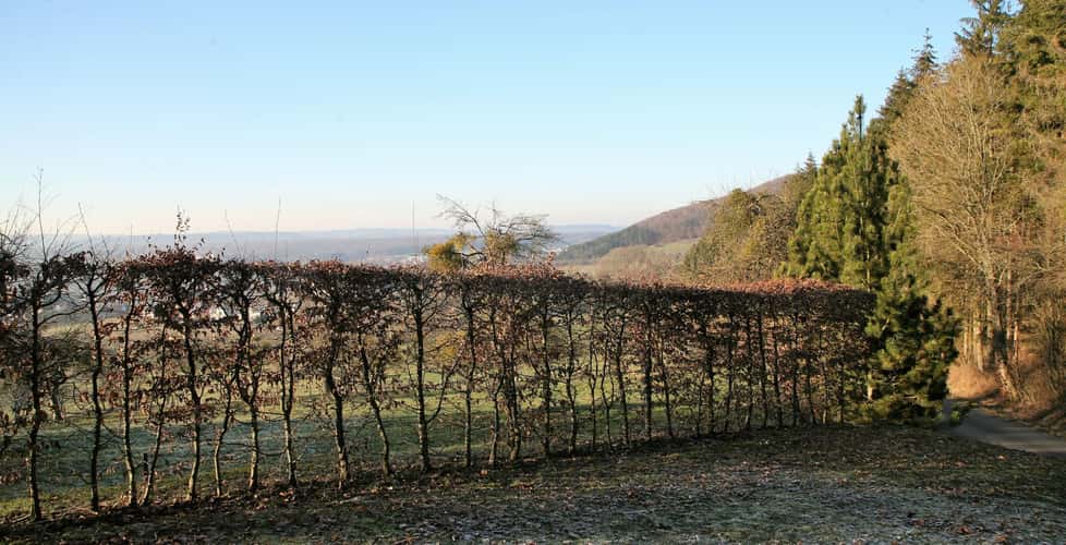Luxembourg Countryside 1