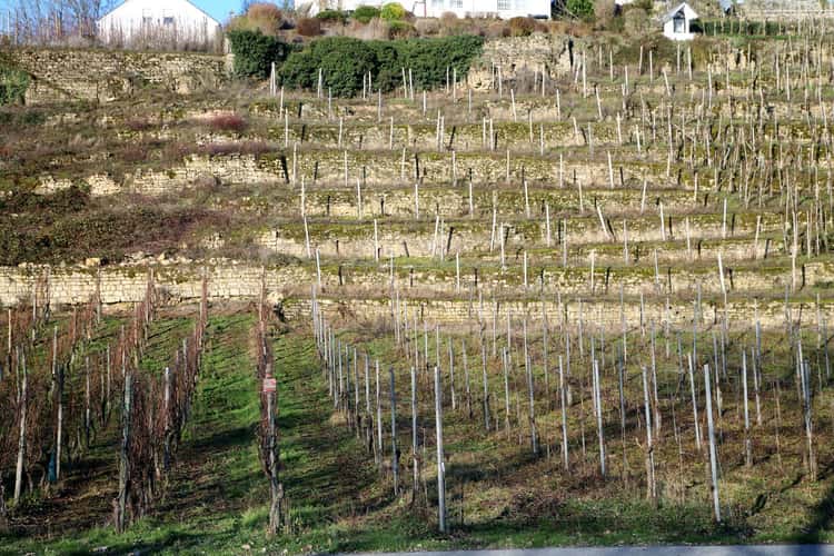 Luxembourg Countryside