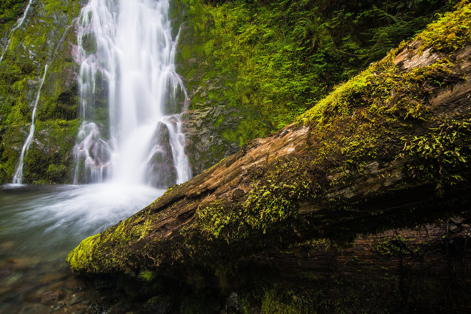 Madison Creek Falls, USA