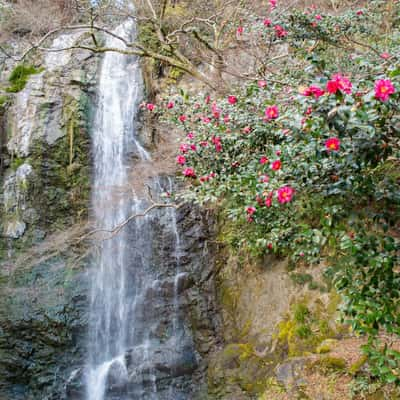 Mino Falls, Japan