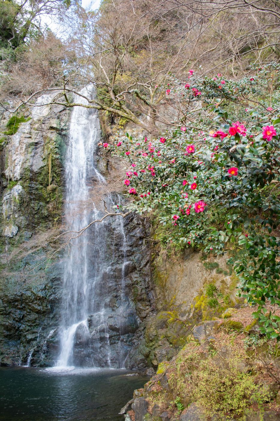 Mino Falls, Japan