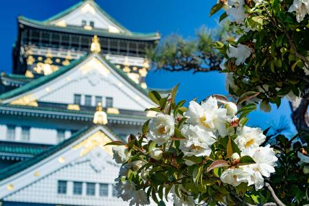 Osaka Castle through camellia