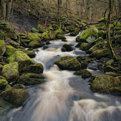 Padley Gorge, United Kingdom