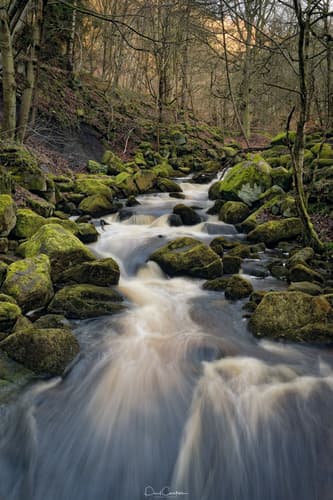 Padley Gorge