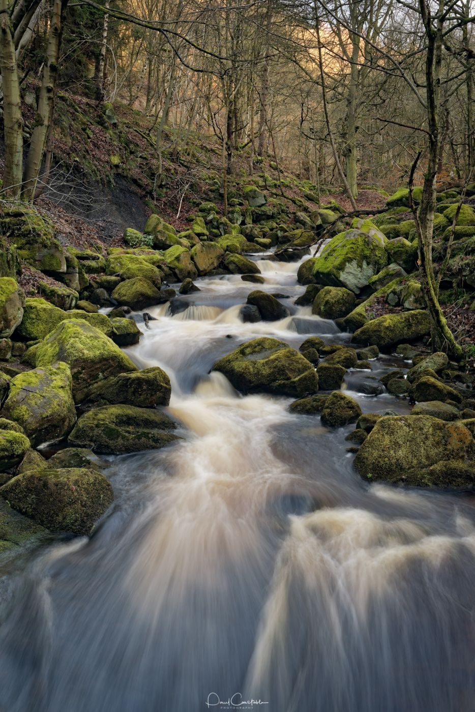 Padley Gorge, United Kingdom