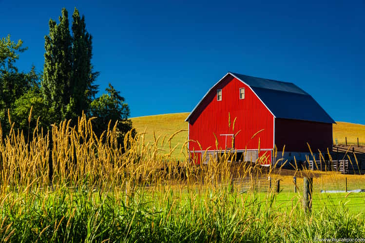 Palouse Red Barn