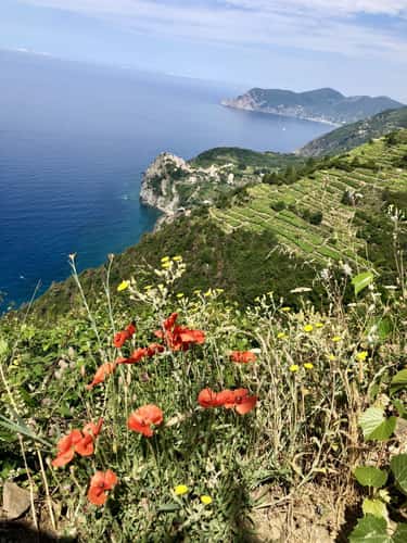 Paths above Riomaggiore