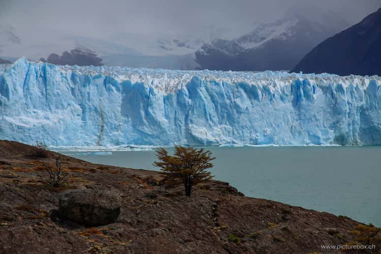 Perito Moreno