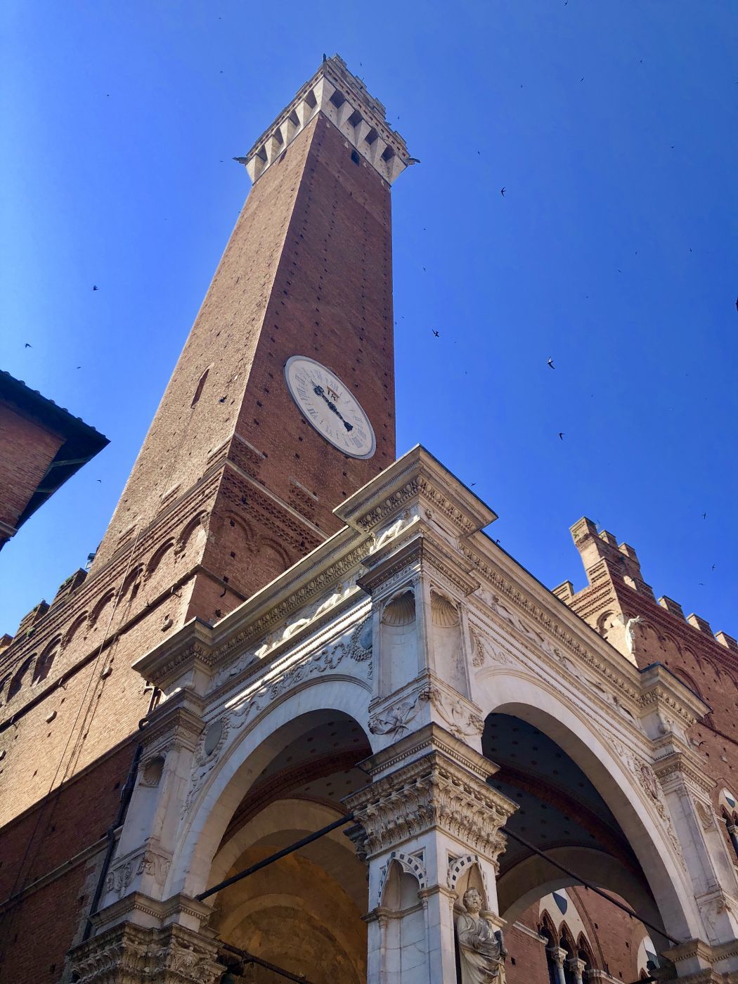 Piazza Del Campo, Italy