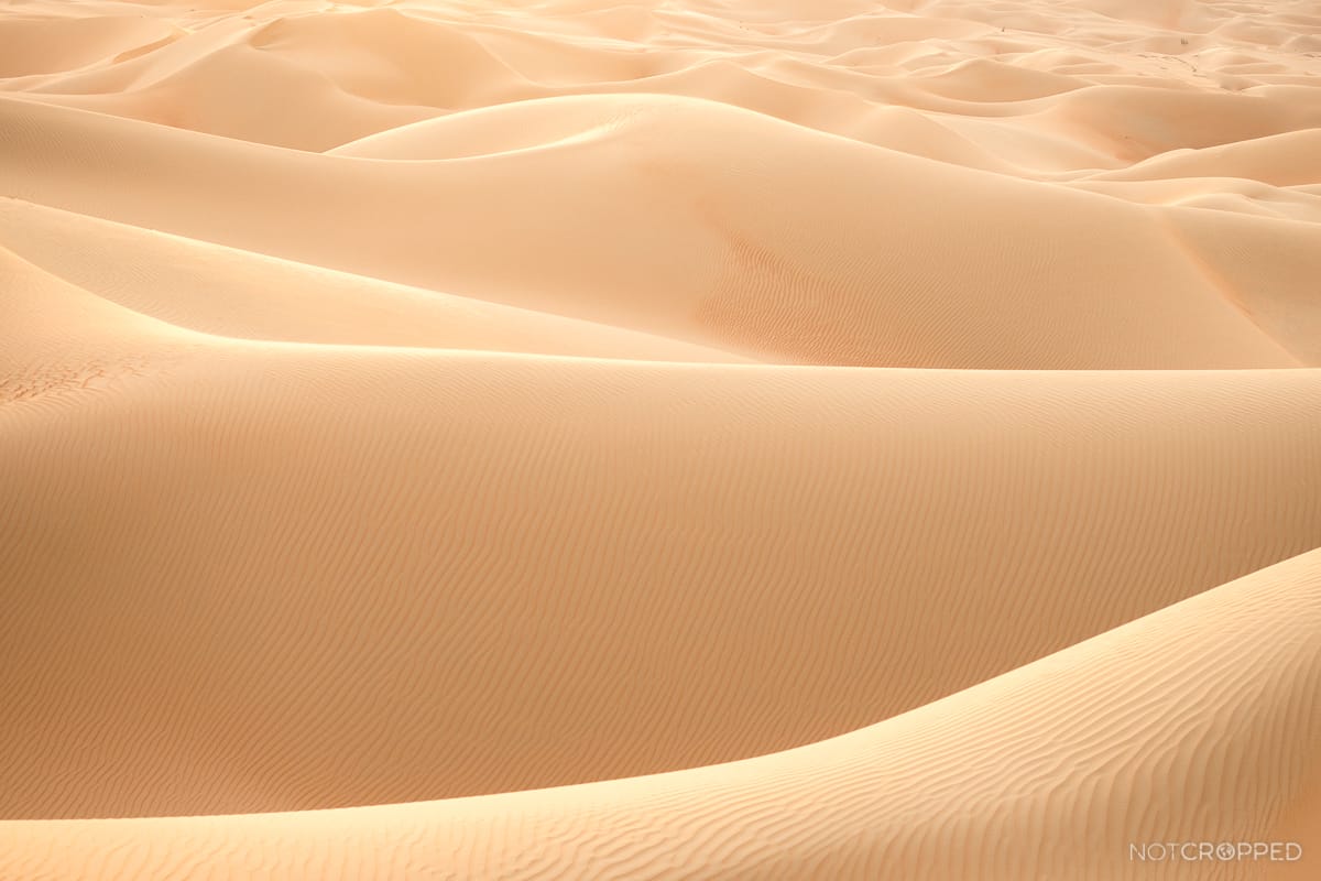 Qasr Al Sarab, United Arab Emirates