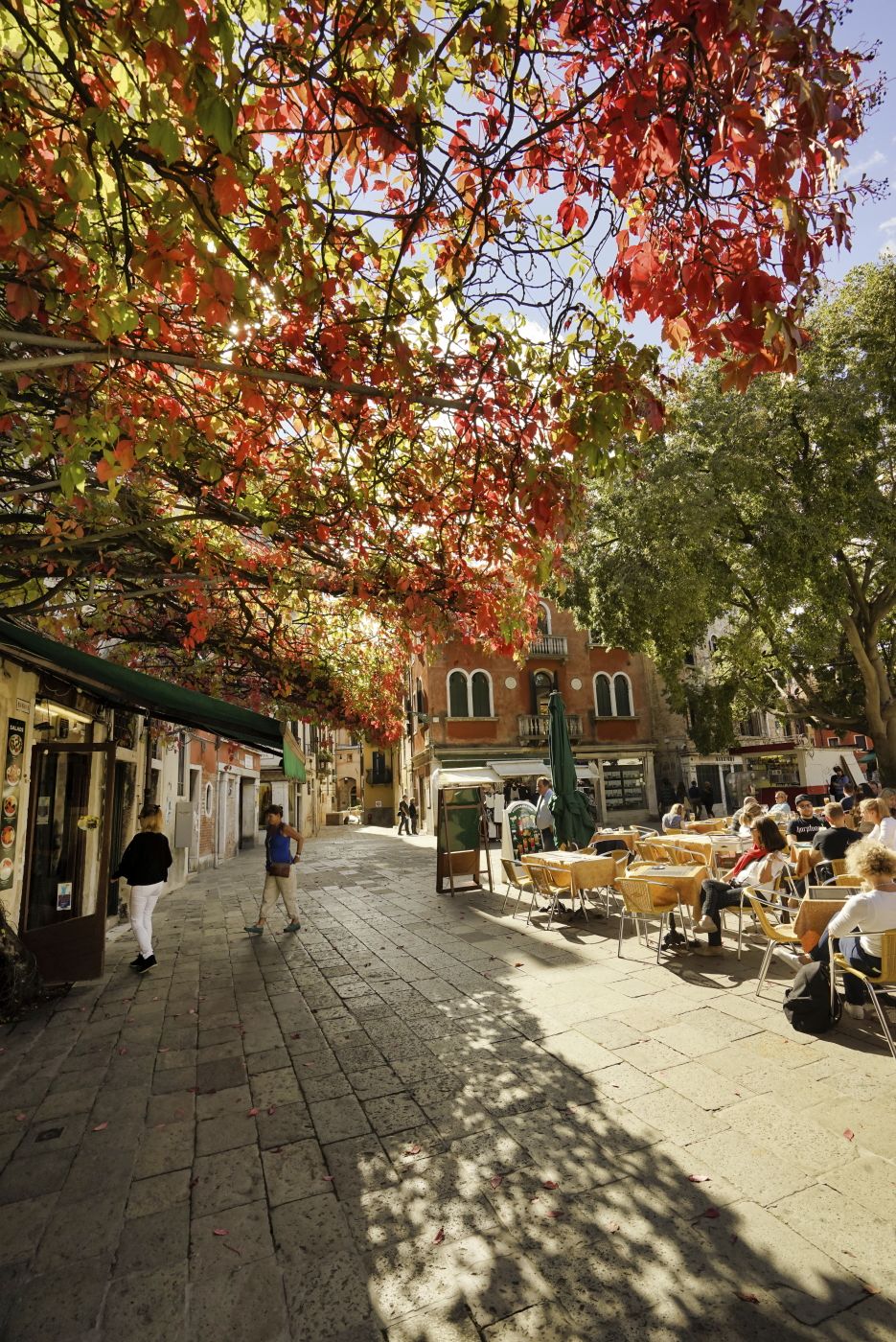 Red chlorophyll, Italy