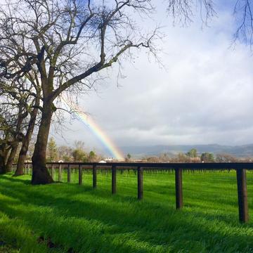 Roadside rainbow in Napa Valley, USA