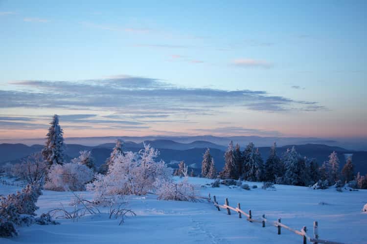 Schliffkopf, Black Forest