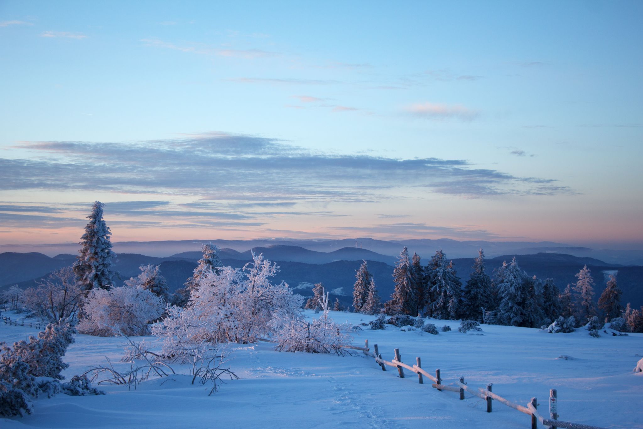 Schliffkopf, Black Forest, Germany