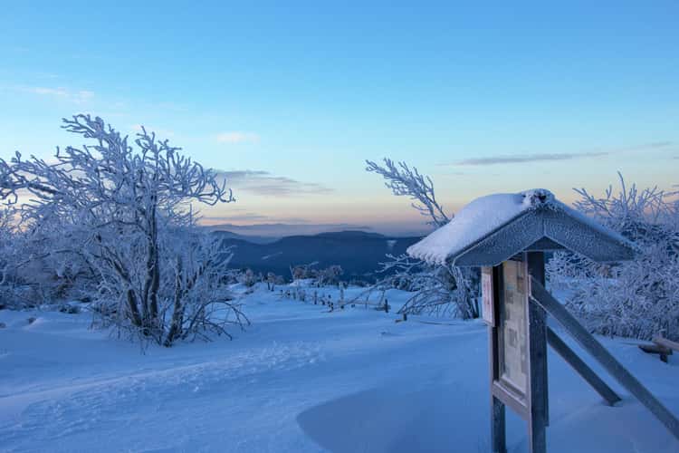 Schliffkopf, Black Forest