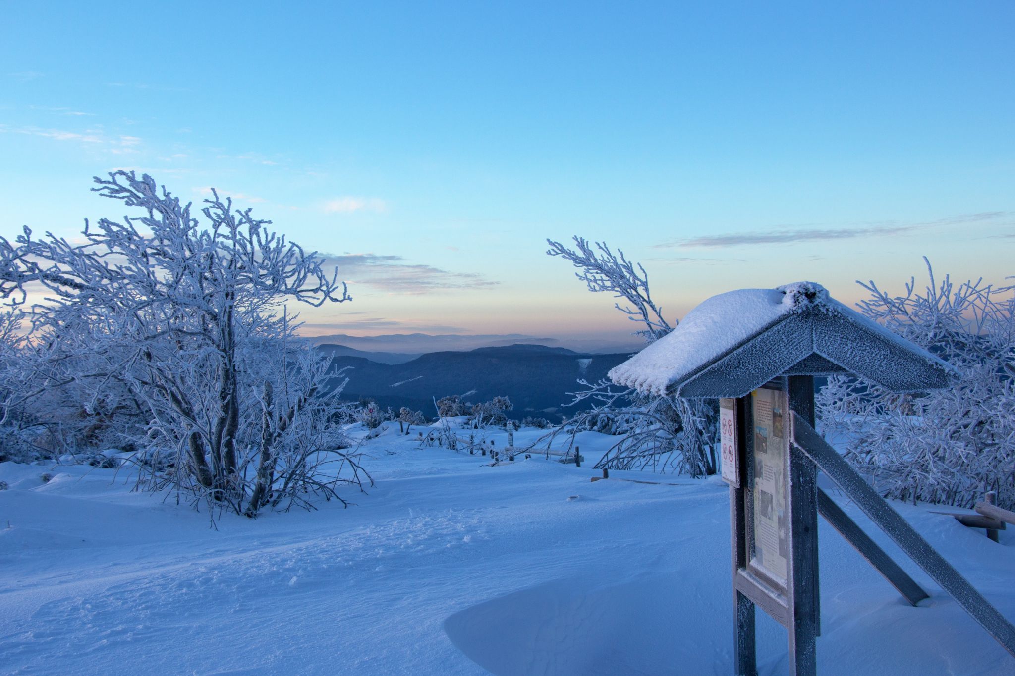 Schliffkopf, Black Forest, Germany