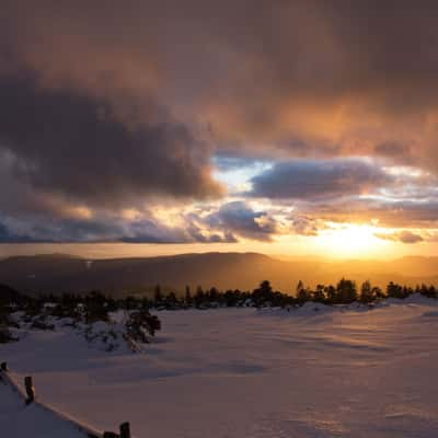 Schliffkopf, Black Forest, Germany