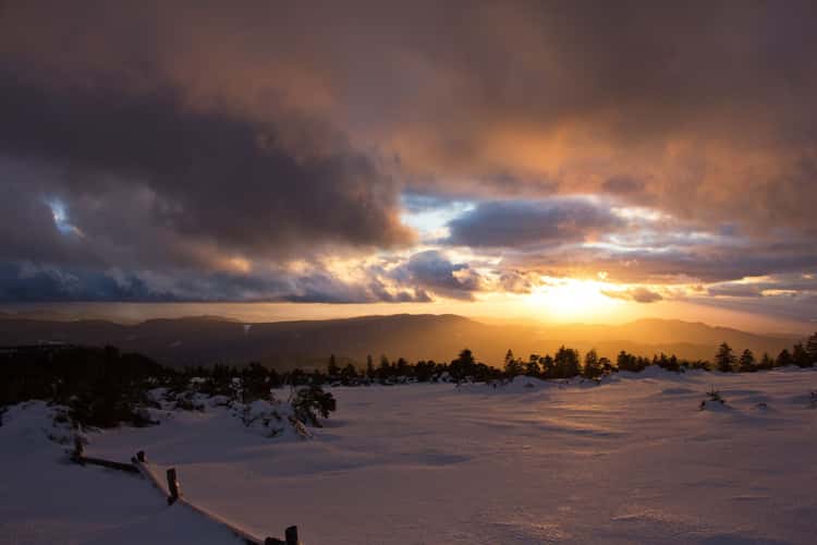 Schliffkopf, Black Forest