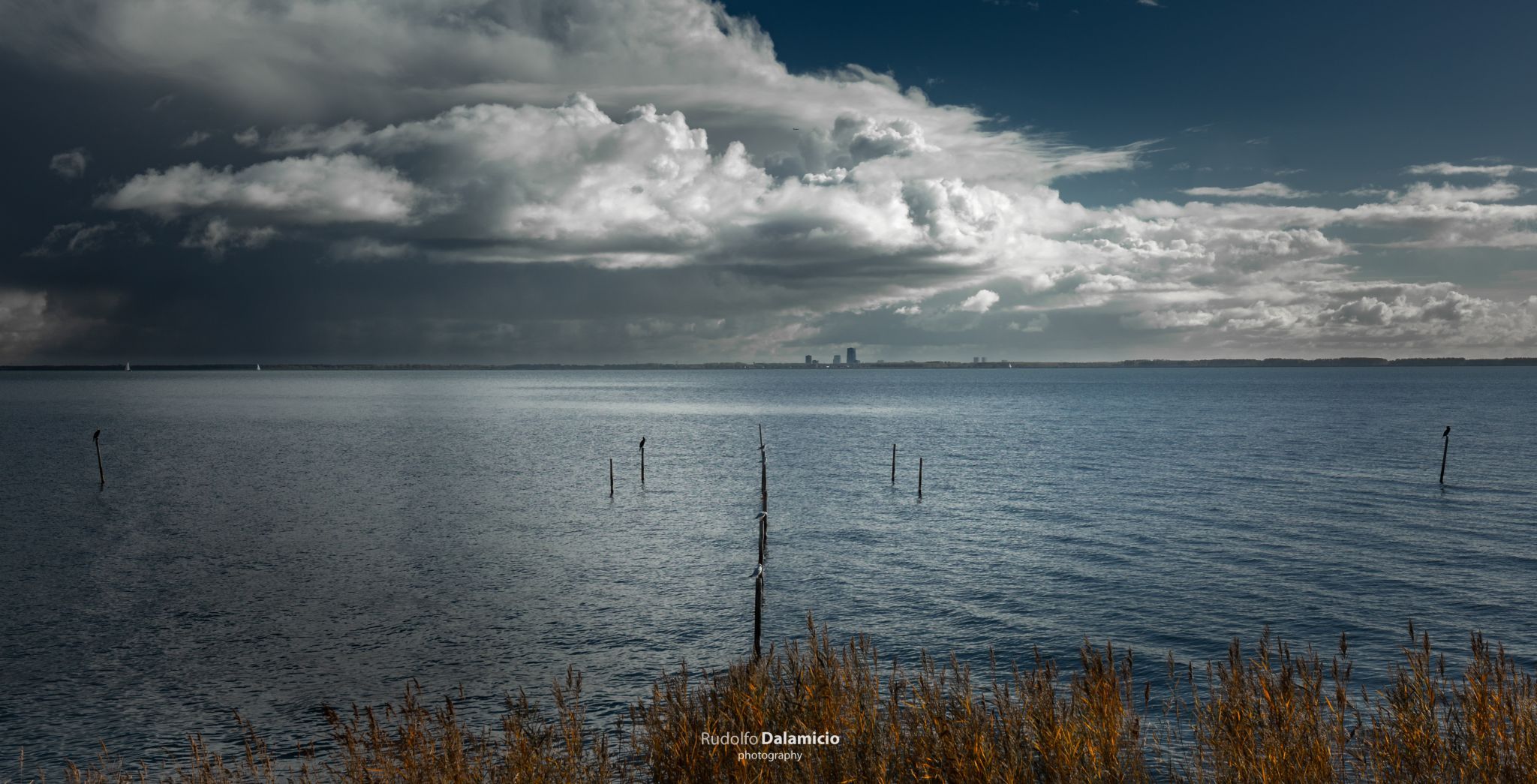 seascape, Netherlands