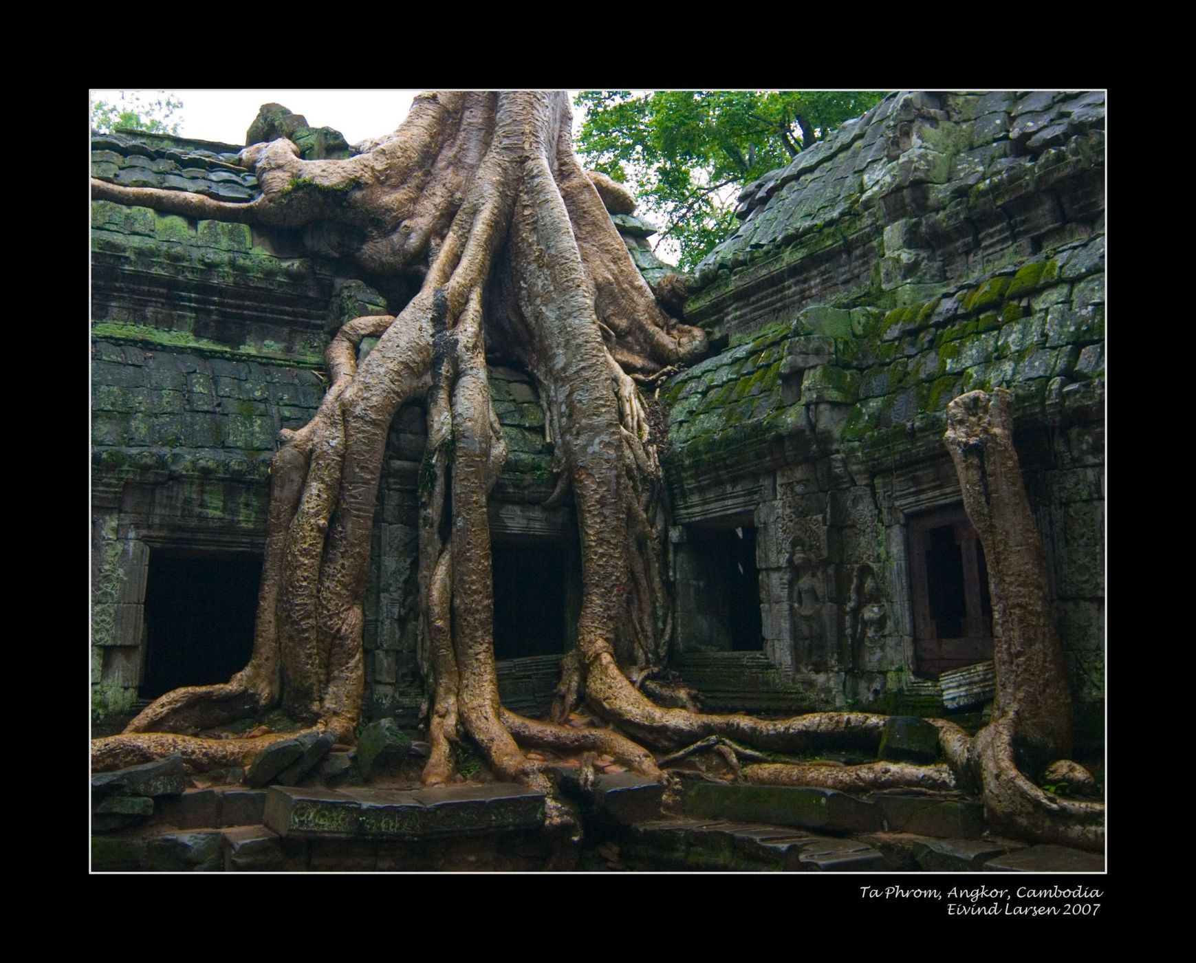 Ta Prohm Temple, Cambodia