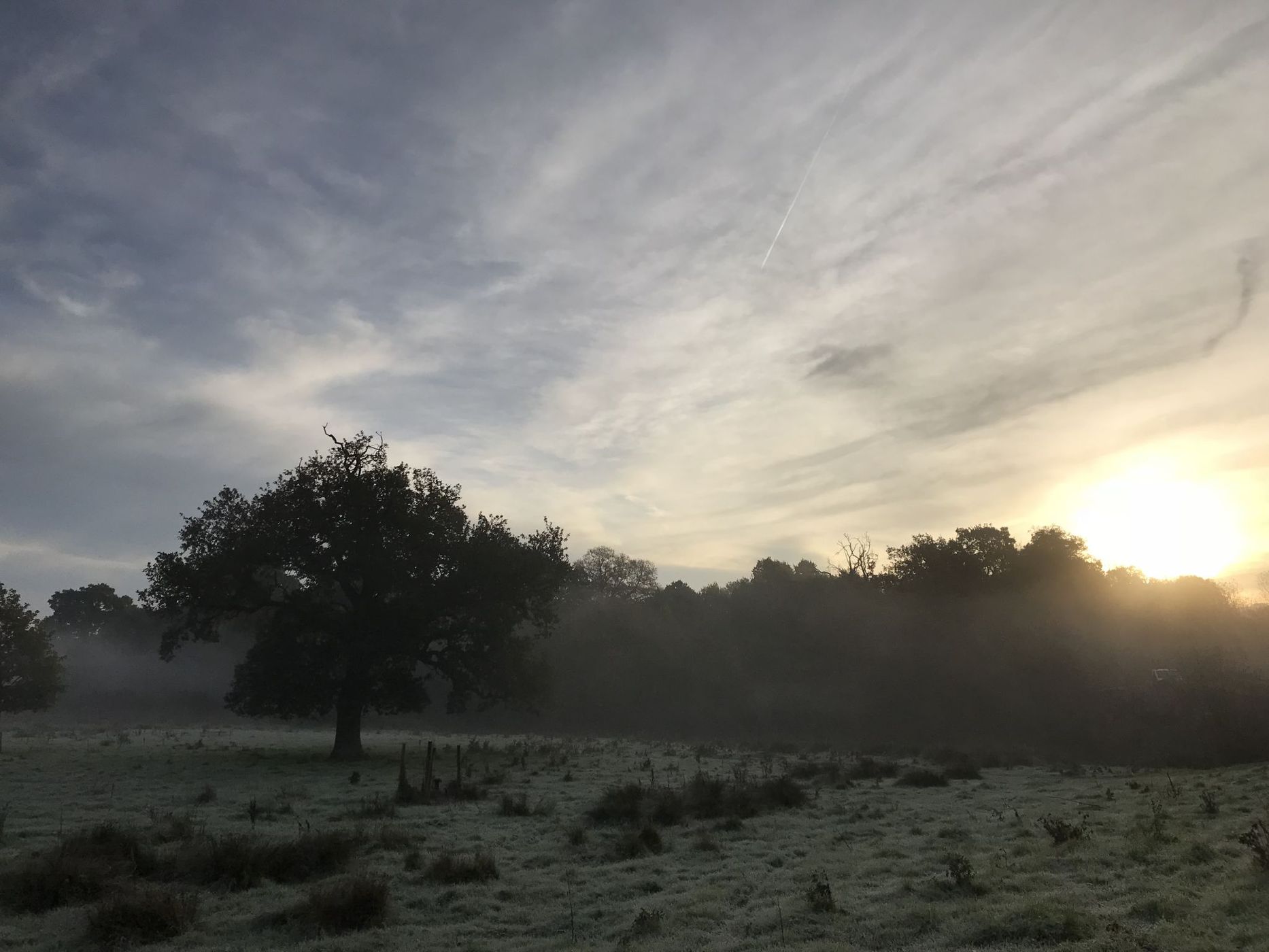 Teston Bridge Country Park, United Kingdom
