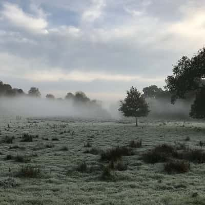 Teston Bridge Country Park, United Kingdom