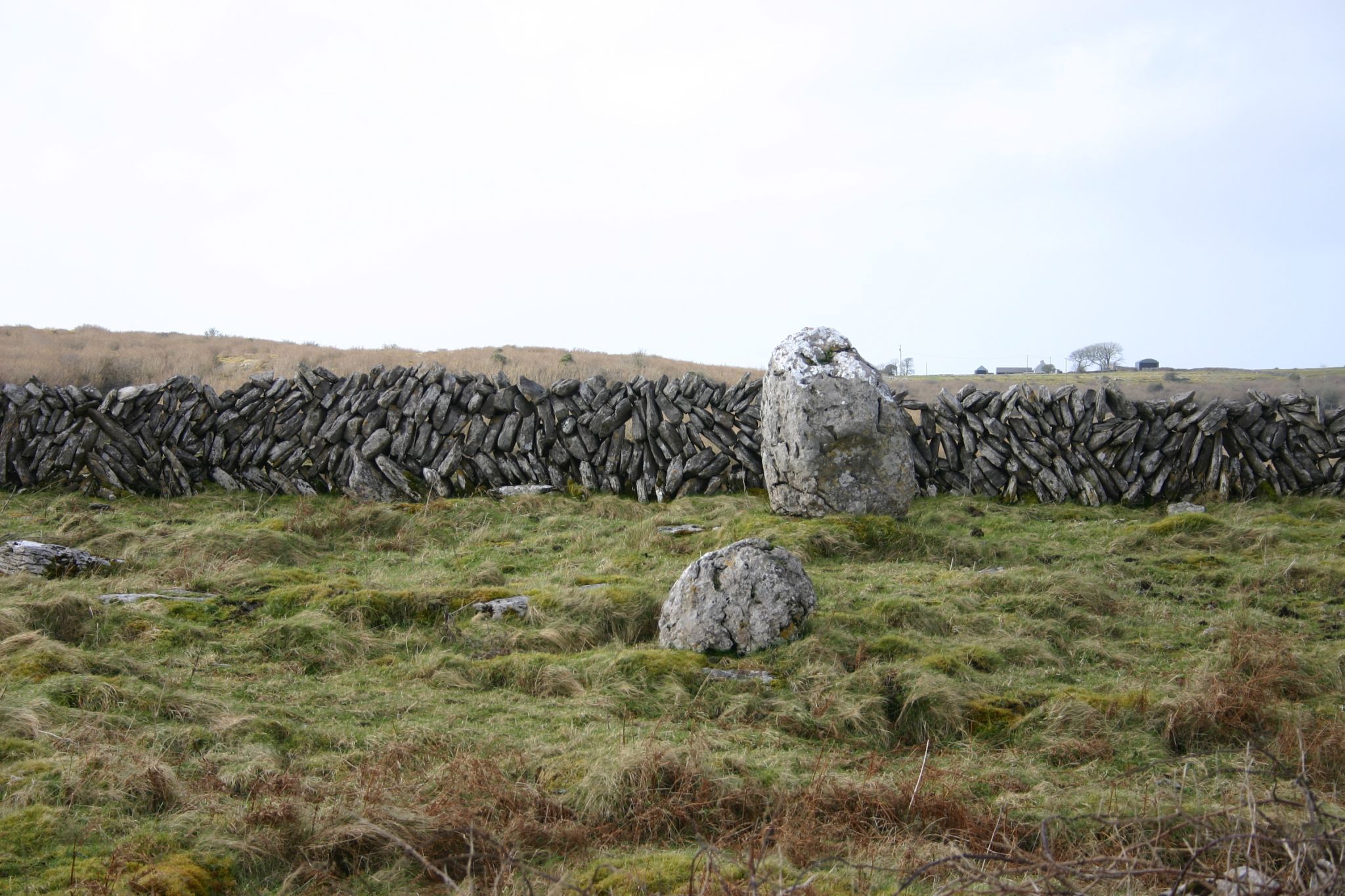 The Burren, Ireland