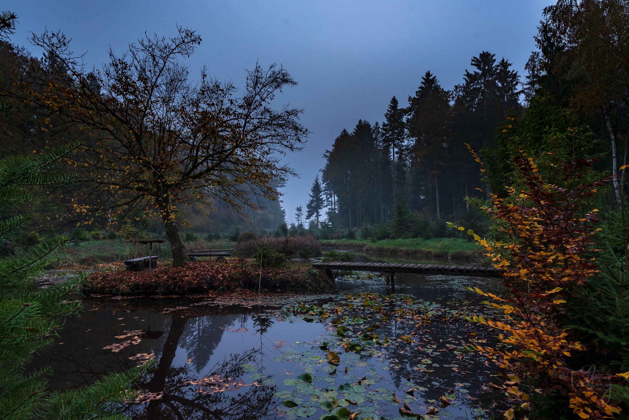 The Hidden Gem (or pond without name), Switzerland