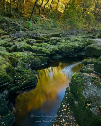 The Strid