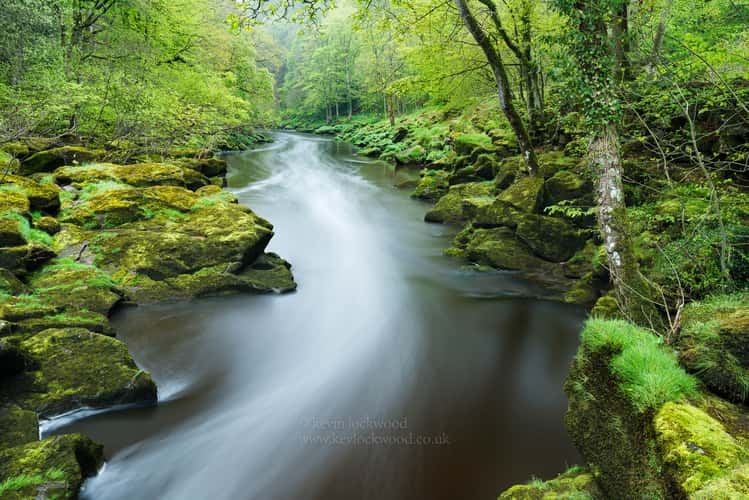 The Strid