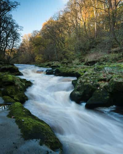 The Strid