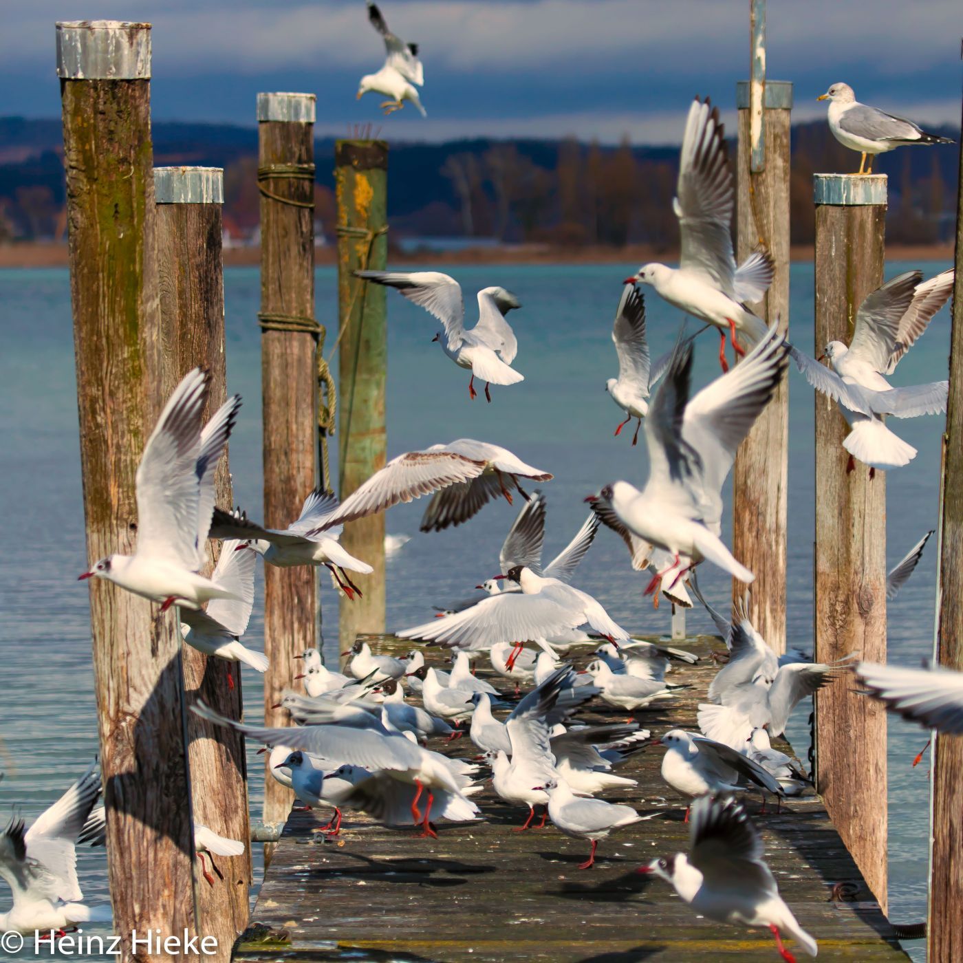 Untersee, Switzerland