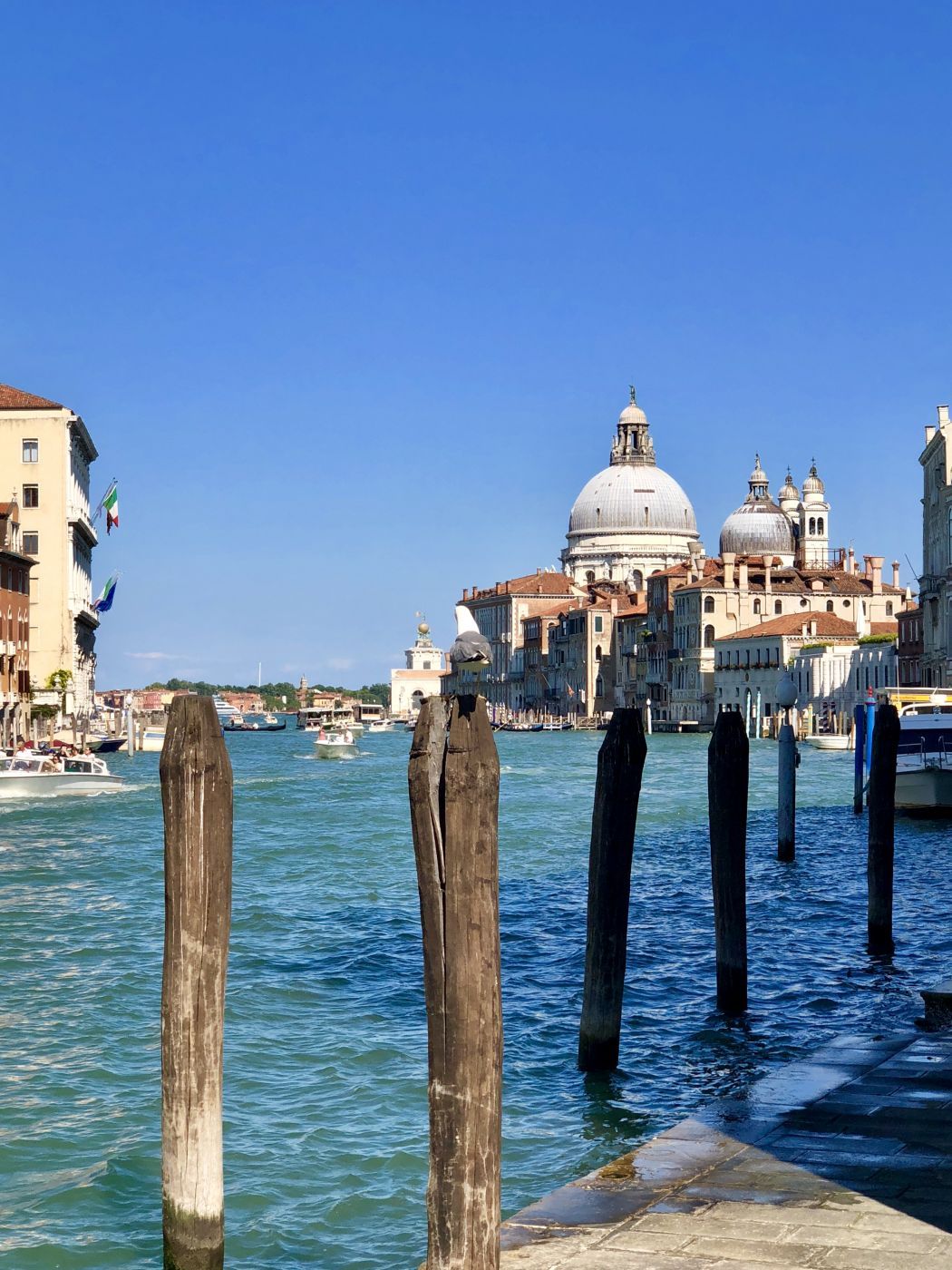 View of Basilica di Santa Maria della Salute, Venice, Italy
