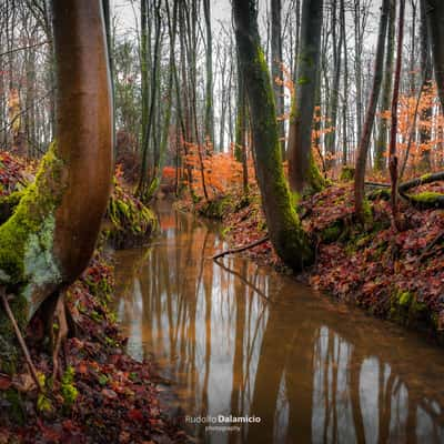 Where Water Flows, Germany