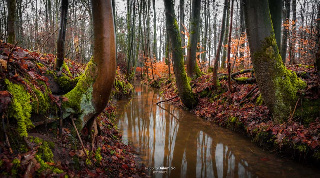 Image showcasing Where Water Flows, Germany
