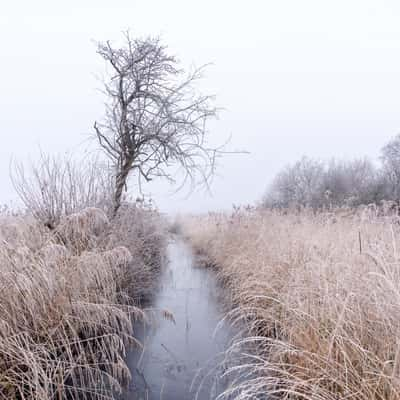 Wicken Fen, United Kingdom