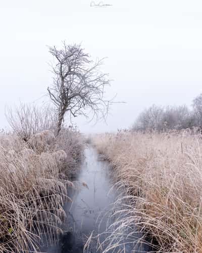 Wicken Fen
