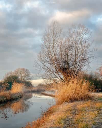 Wicken Fen