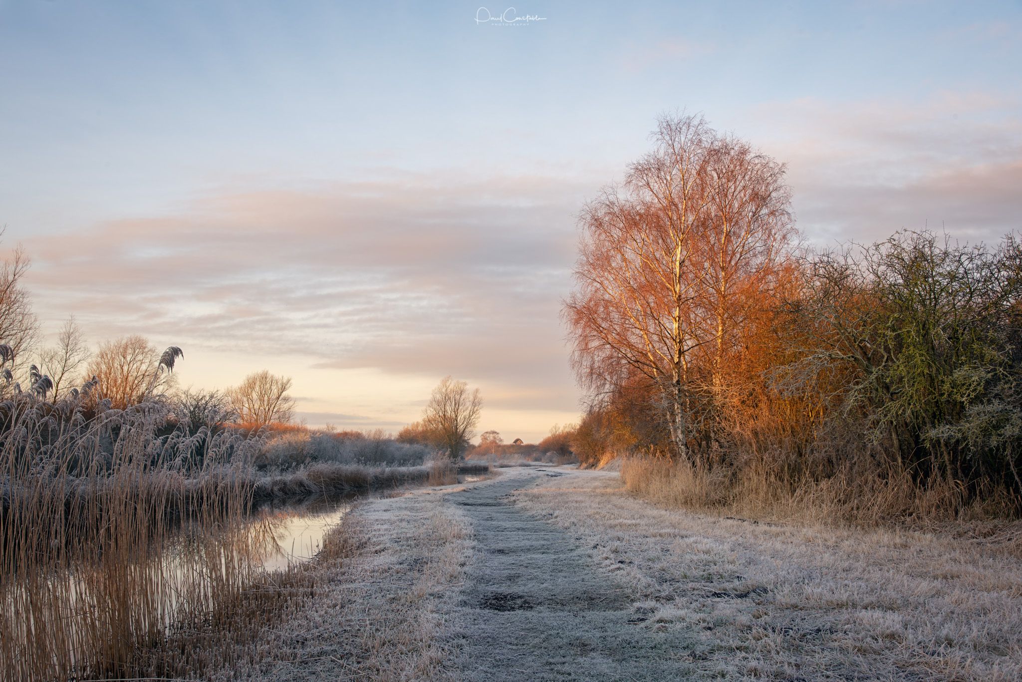 Wicken Fen, United Kingdom