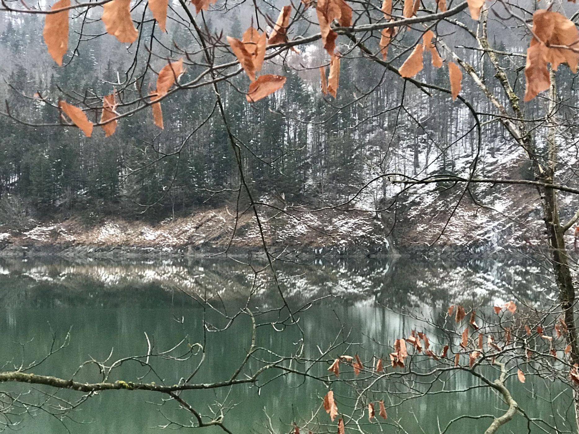 Wiestalstausee, Austria